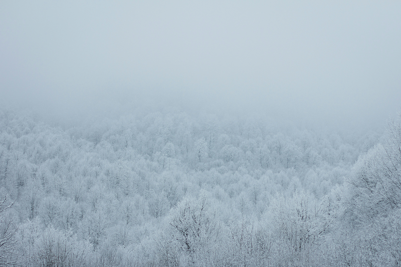 Síndrome de burnout – O que é ?